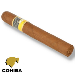 www.charutosbalneariocamboriu.com.br - cohiba