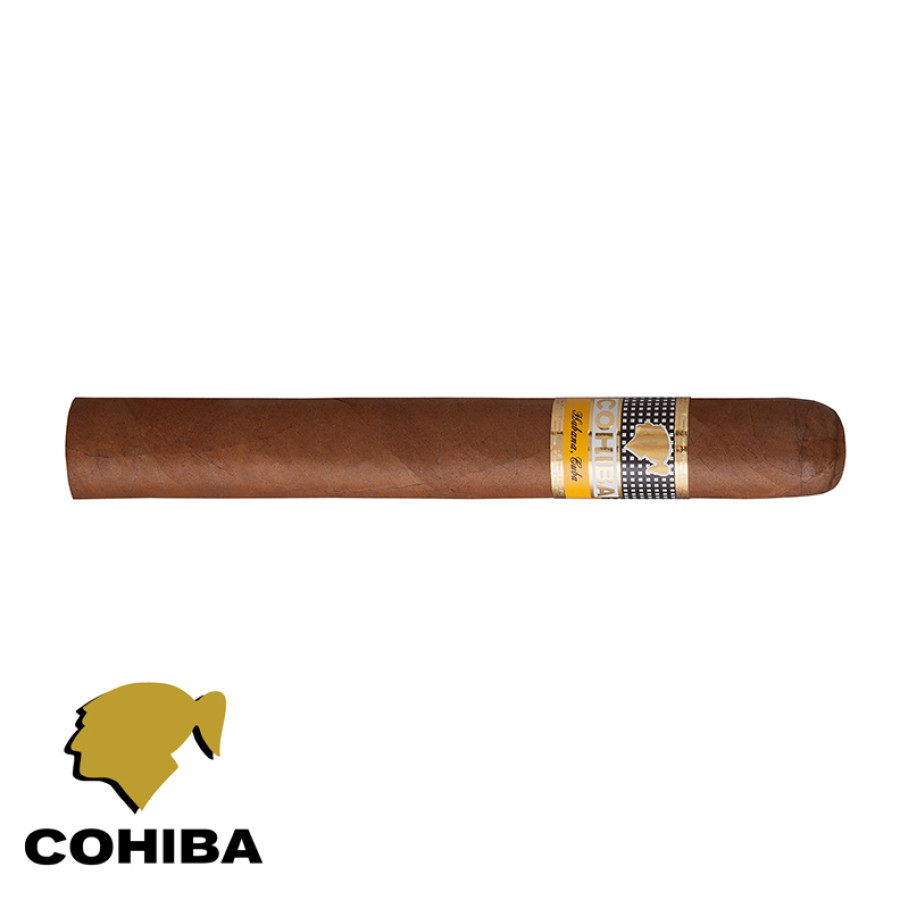 www.charutosbalneariocamboriu.com.br - cohiba