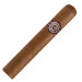 www.charutosbalneariocamboriu.com.br - montecristo