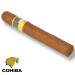 www.charutosbalneariocamboriu.com.br - cohiba