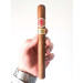 www.charutosbalneariocamboriu.com.br - romeo y julieta